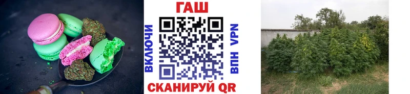 Купить Приозерск Cannafood марихуана