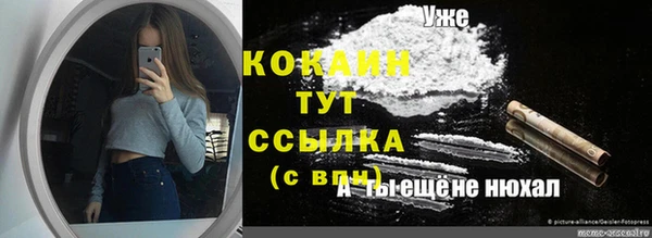 дживик Балахна