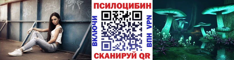 Купить где  Приозерск  Галлюциногенные грибы GOLDEN TEACHER 